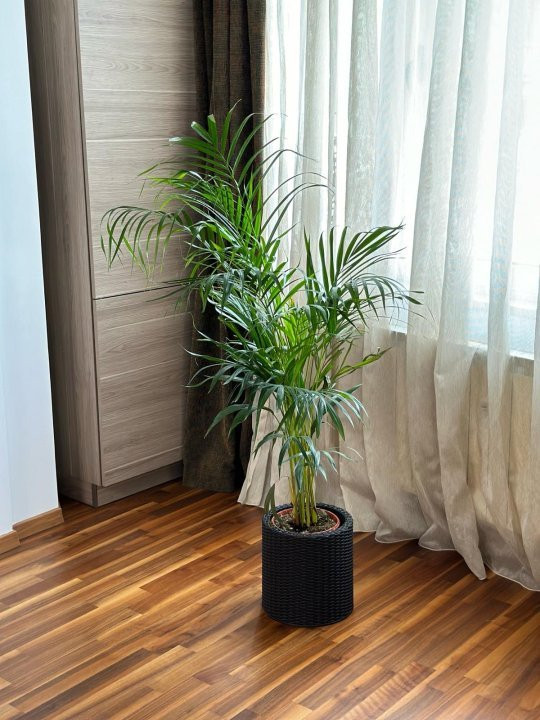 Apartament 2 camere,BD.UNIRII, metrou Unirii, PRIMA INCHIRIERE