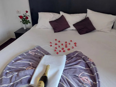  Pensiune 3*** Costinesti