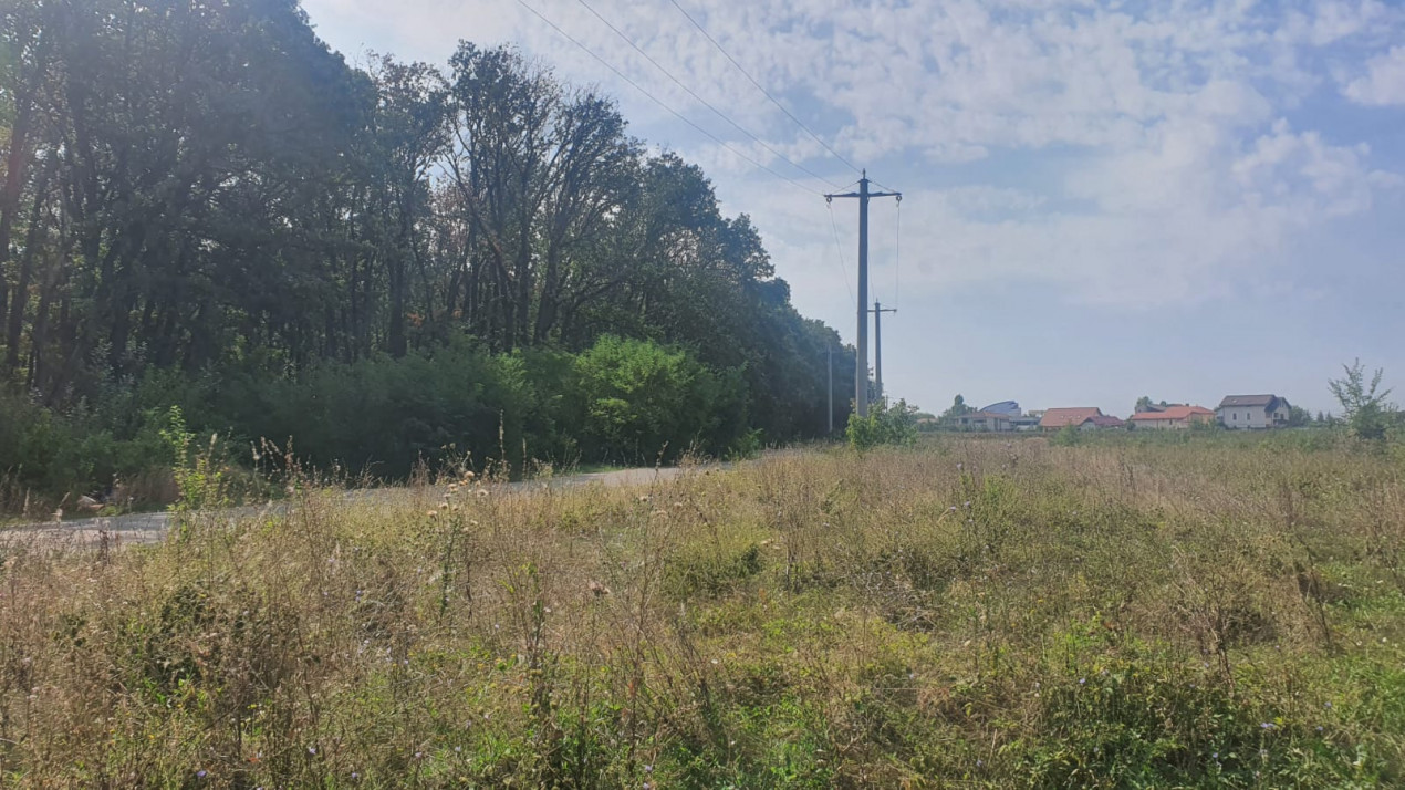 Teren Corbeanca, 1892 mp, langa padurea Petresti si A0